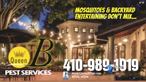 Queen B Pest Services