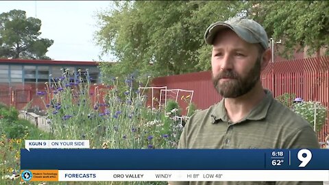 Growing interest in Tucson community gardens