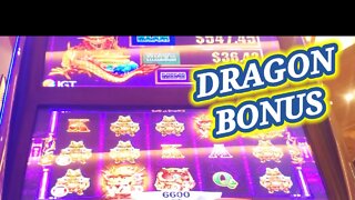 DRAGON BONUS SPIN 🤑