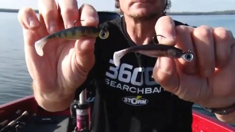 Why Choose Soft Plastics over Livebait for Walleye