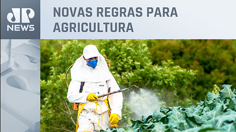 Senado aprova projeto que flexibiliza uso de agrotóxicos