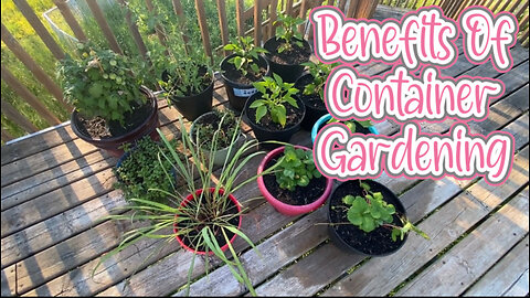 Benefits Of Container Gardening