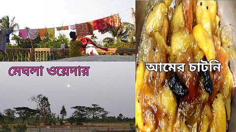 আজকে প্রচন্ড গরম পড়েছে গরমে যেন দম বেরিয়ে যাচ্ছে#msvillagelifestyle