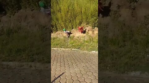 SUPER PULOS NINJAS DO FOFÃO, O MÁSKARA, PATATI E BEN10 DANÇANDO NA CARRETA DA ALEGRIA, LIKE