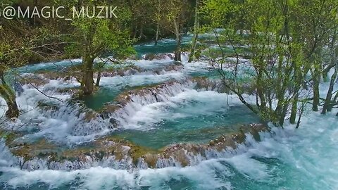 Soothing Sounds of the Flute and Waves: An Ambient Oasis 🎧