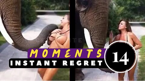 Instant Regret Moments V14 | Dank Memes