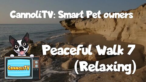 CannoliTV Video Library: Peaceful Dog Walk Along The Beach - 07