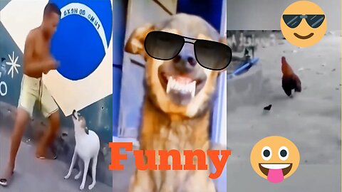 Mast Funny 😝 Animals 🐕‍🦺 🐒 🐓 Vidio