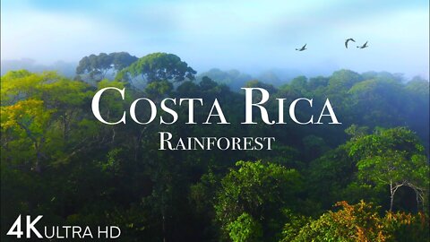 Costa Rica Rainforest 4k - Happiest Country On Earth With Exotic Wildlife | Scenic Relaxation Film