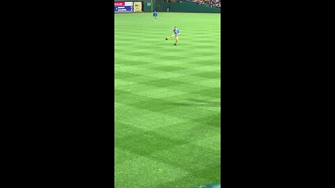 Phillies fan runs onto the field