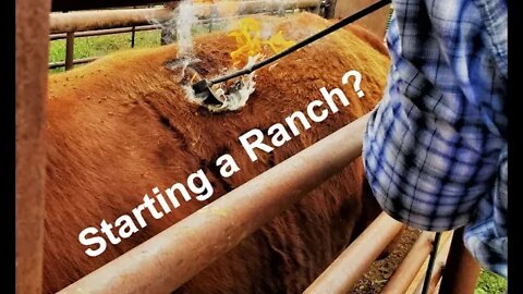 HOW TO Start a Ranch in 2022! (In the Chute - Round 100)