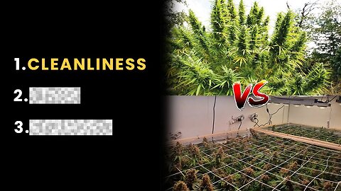 Top 3 Differences Between Indoor Vs Outdoor