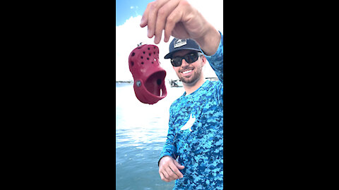 Fish Eats a Crocs Shoe?