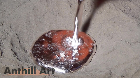 Casting a Carpenter Ant Colony with Molten Aluminum (Cast #042)