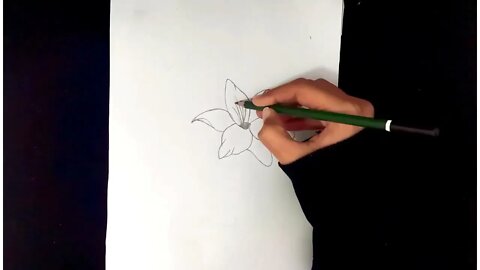 How To Draw Flowers Easy Step