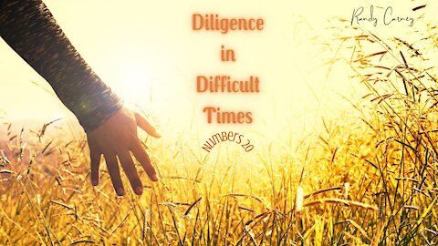 Dilegence In Difficult Times