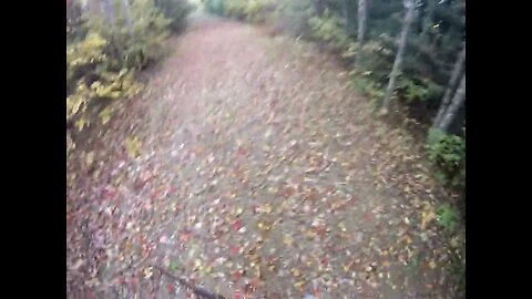 October 4th, 75º late day try for partridge. Saw first bird of the season but didn't have a shot.