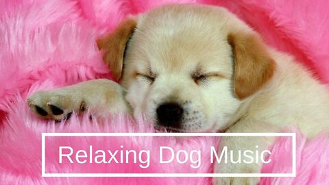 Deep Sleep Relaxing Dog Music