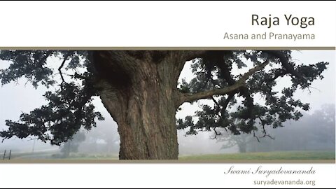 2. Asanas and Pranayama