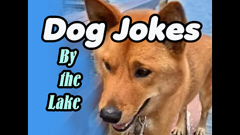 Dog Jokes By the Lake #dogjokes #dadjokes