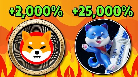 VITA INU!! THE NEXT SHIBA INU WILL MAKE MILLIONAIRES!!