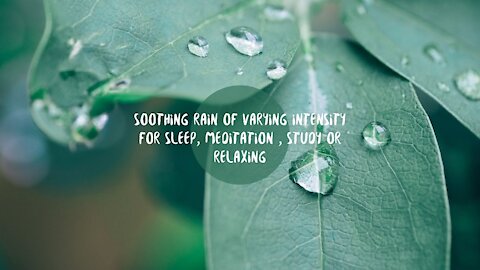 Soothing rain of varying intensity for sleep, meditation , study or relaxing