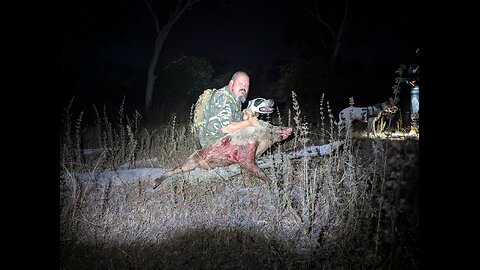 Wednesday night hunt