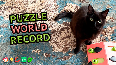 Vilma And Melon Puzzle World Record