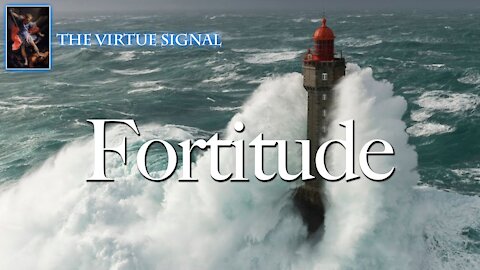 Fortitude: Can We Withstand the Unremitting Attacks on Common Sense and Values?