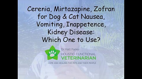 Cerenia, Mirtazapine, Zofran: Dog & Cat Nausea, Vomiting, Inappetence, Kidney Disease: Which to Use?