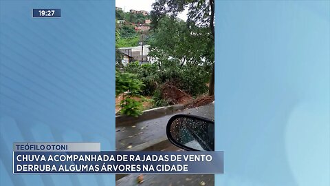 Teófilo Otoni: Chuva acompanhada de Rajadas de Vento derruba algumas Árvores na cidade.