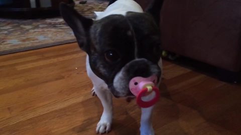 "Rosie Loves Her Pacifier"