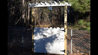 Building Fence Gates and Arbor