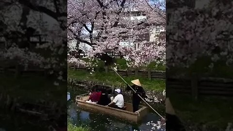 A unique Japanese garden has opened in Krasnodar.