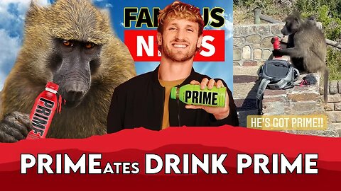 Logan Paul Attacked By Monkeys Drinking PRIME in Viral Video | FAMOUS NEWS