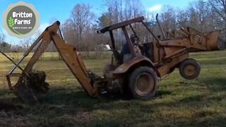 Fence install / Transplanting of Trees as a blind from the road