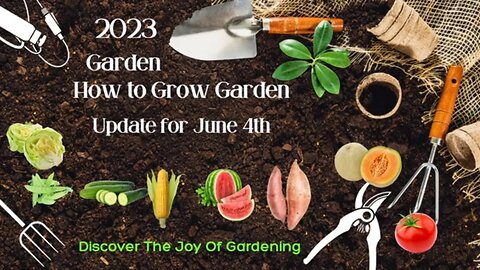 How to Grow a Garden Update for June 4th