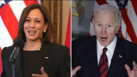 Gingrich: Kamala Harris is an 'utter and total embarrassment'