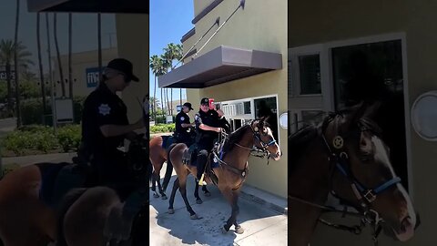 With the temperatures rising, Jack and Charlie made sure Officer Rose...