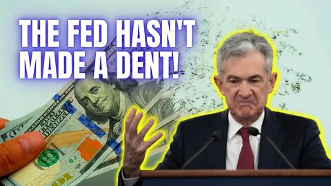 The Fed's Policy Has Still Had No Effect on Inflation!