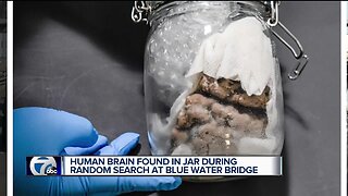 Human brain inside jar seized at Blue Water Bridge on Valentine's Day