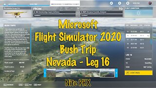 MSFS2020 Multiplayer Bush Trip Nevada Leg 16