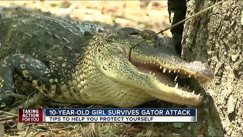 10-year-old Florida girl pries open gator's mouth to free her leg