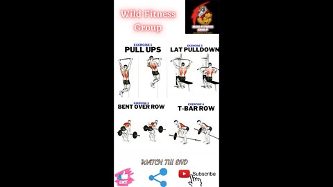 🔥6 different gym exercises🔥#fitness🔥#wildfitnessgroup🔥#shorts🔥