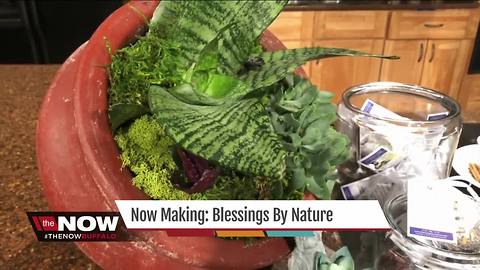 Blessings By Nature brings the power of plants and herbs to WNY