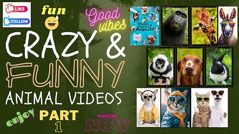 Funny Dogs And Cats Videos 2023 😅 Best Funniest Animal Videos Of The Month #FunniestAnimals #viral