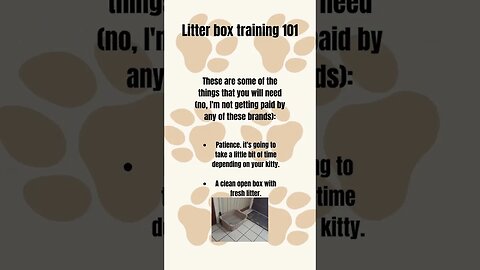 Cat litter box training 101!