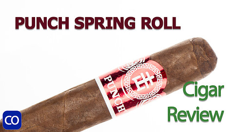 Punch Spring Roll Robusto Cigar Review