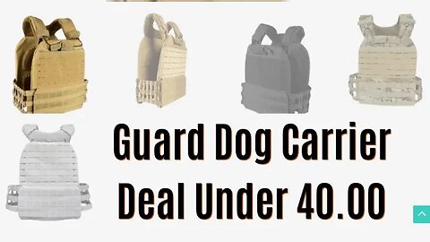 Plate Carrier Deal Alert under 40.00