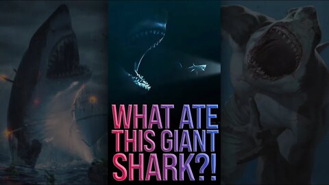 What Ate This Giant Shark?! 😱 #shorts